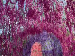 -歌斐颂巧克力小镇