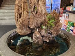 -都江堰石锅鱼