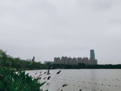 -顺峰山公园