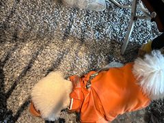 -J Create城市露营咖啡·简餐·宠物(上海动物园店)