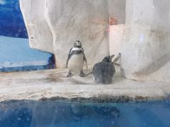 -左海海底世界