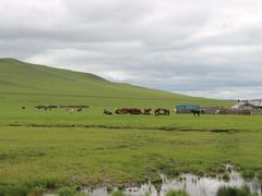 -莫日格勒旅游景区