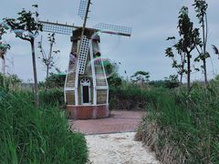 -泗洪洪泽湖湿地景区