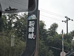 -中国大熊猫保护研究中心雅安碧峰峡基地