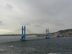 -枸杞岛