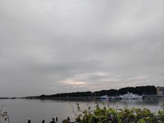 -大湾区中央湿地公园-十九涌