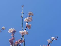 -草庵摩尼教遗址公园