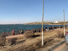 -丁香湖公园