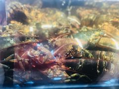 海鲜池-盒马鲜生(曜一城店)