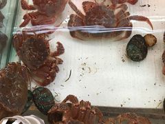 -南戴河海滨市场
