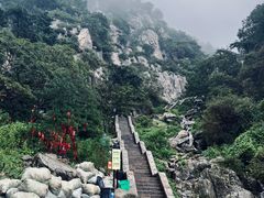 -泰山风景名胜区