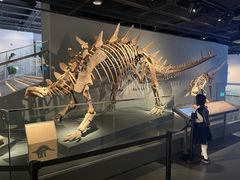 -四川大学博物馆