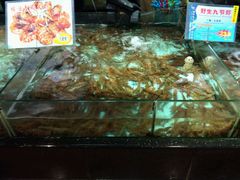 android_upload_pic-渔民新村(番禺总店)
