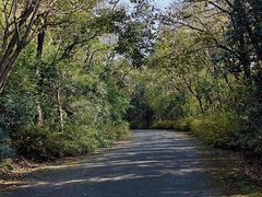 -上海海湾国家森林公园