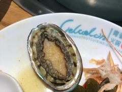 锅底里的鲍鱼-青瓷火锅料理(西单大悦城店)
