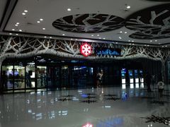 -哈尔滨热雪奇迹