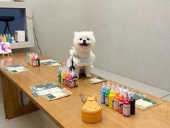 -樱桃家的宠物店(君安花园店)