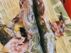 -铭记蛙小仙·活蛙畅享(CBD万达广场店)