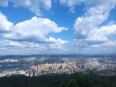 -长虫山生态公园风景林