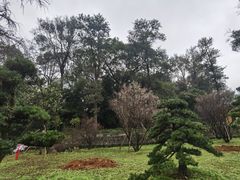 -南华禅寺