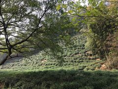 -杭州西湖风景名胜区-三生石