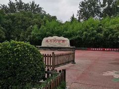 -莲花池公园