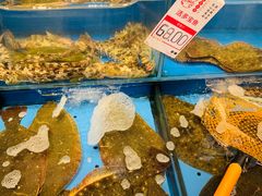 -添福来墨鱼饺子 · 海鲜东北菜(大连星海·黄浦路店)