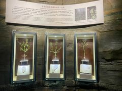 -辽宁古生物博物馆