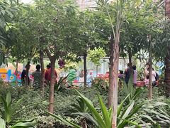 -南宫五洲植物乐园