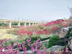 -秀丽东方
