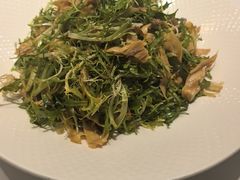 -海派美食·家宴海鲜青岛菜·石锅鲽鱼头(东方城店)