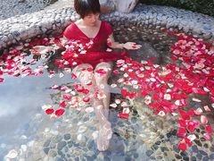 -金孔雀温泉旅游度假村