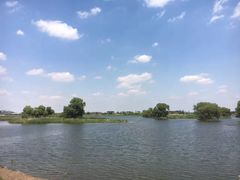 -蒲河岛湿地公园