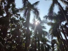 -华南国家植物园-售票处