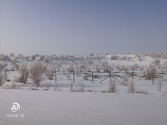 -真鑫·硬派烧烤·烤羊腿(蜀都万达总店)