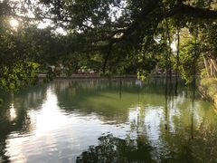 -西湖公园(鼓楼区)