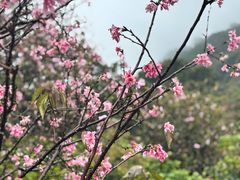 -小南山公园