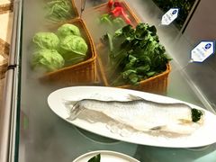 -燕郊烧鸽子(酷车小镇店)