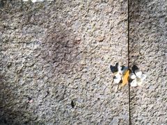 -火炉山森林公园