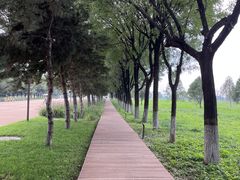 -汉长安城未央宫国家考古遗址公园