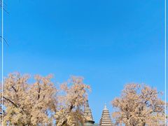 -北京石刻艺术博物馆(五塔寺)