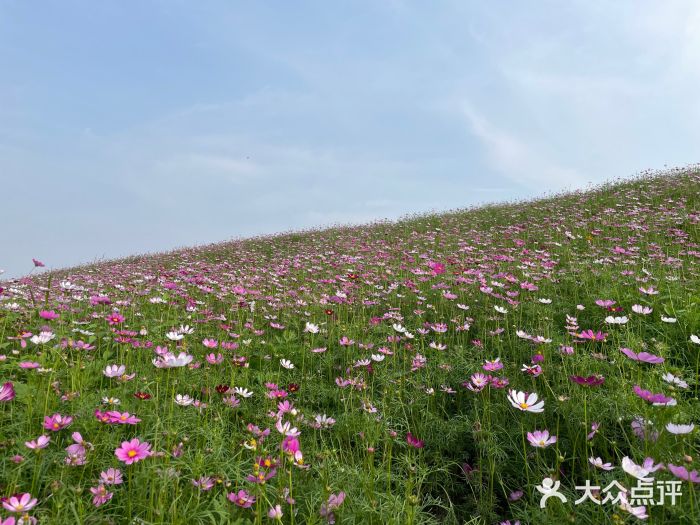 木洞河街图片