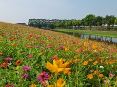 -迪茵湖田家舍生态农场