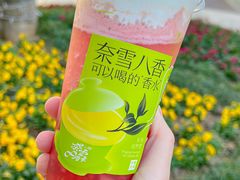 -奈雪的茶(M+世纪都会广场店)
