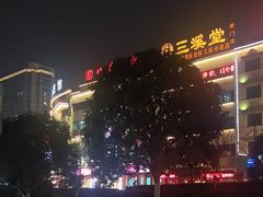 -玖府大院