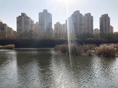 -前关湿地公园