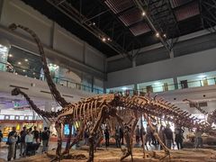 -自贡恐龙博物馆