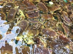 -盒马鲜生(宝地店)