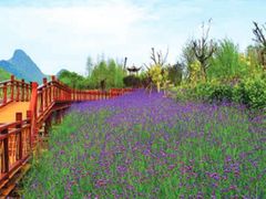 -白鹭湾湿地公园