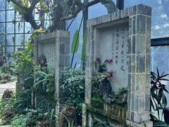 -东莞植物园